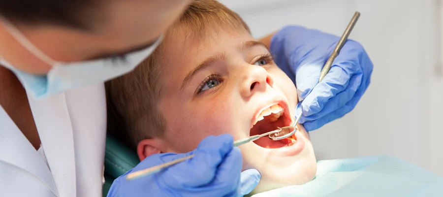 Houston Dentist Dr Kamila | Houston Cosmetic and Holistic Dentist