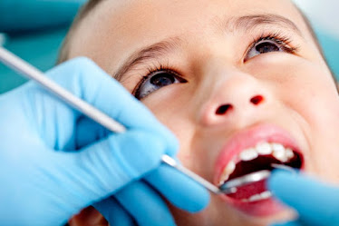 Ibarra Arturo DDS