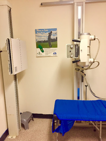 iMed Chiropractic