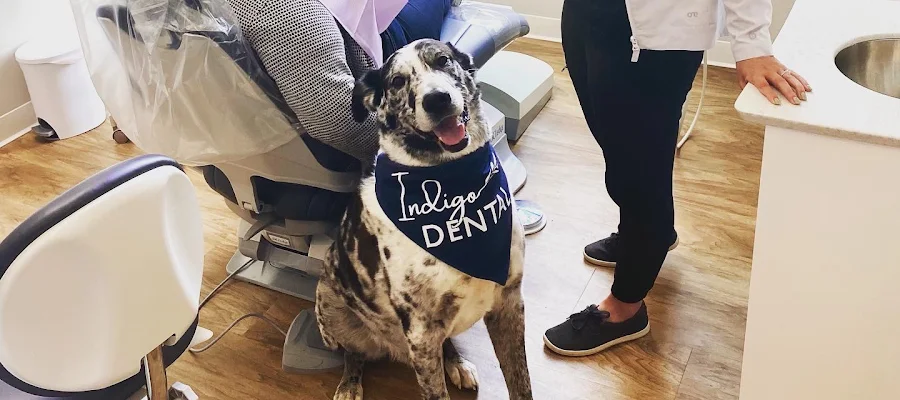Indigo Dental