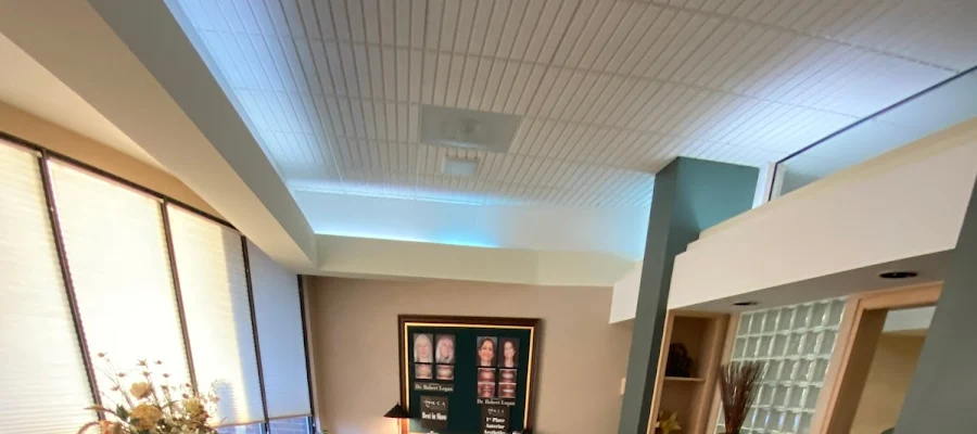 Integrated Dental Aesthetics