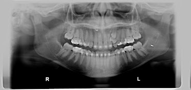 Jersey Dental Arts, P.A.