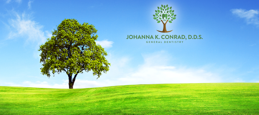 Johanna K. Conrad, DDS