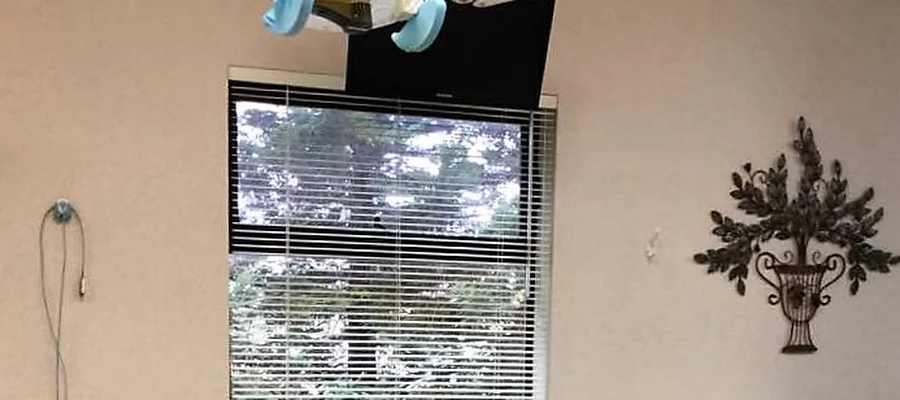 John A. Stevens, DDS