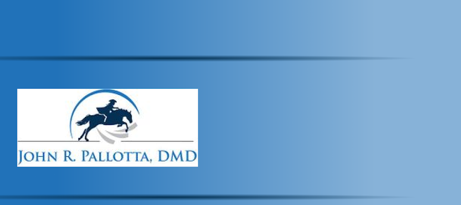John R. Pallotta, DMD
