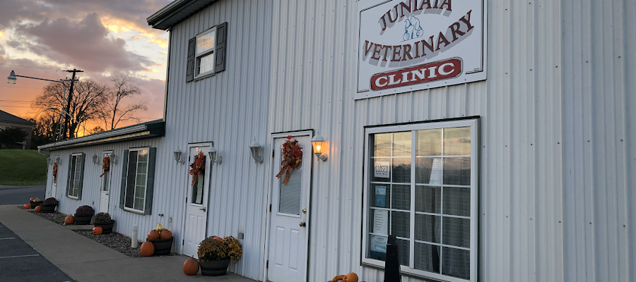 Juniata Veterinary Clinic