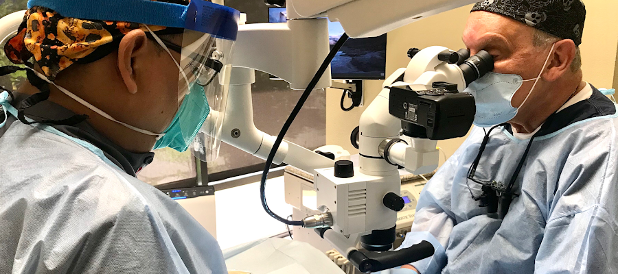 Kaban Endodontics