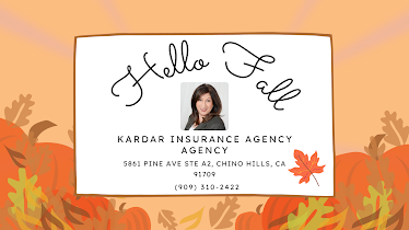 Kardar Insurance Agency