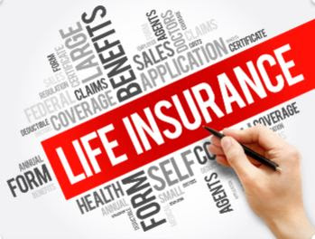 Kim Holland - State Farm Insurance Agent