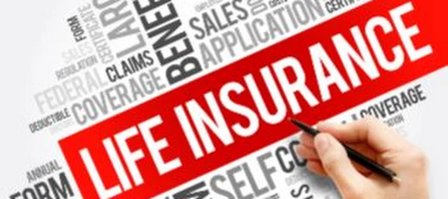 Kim Holland - State Farm Insurance Agent