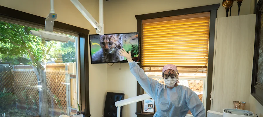 Kremer Dental Care