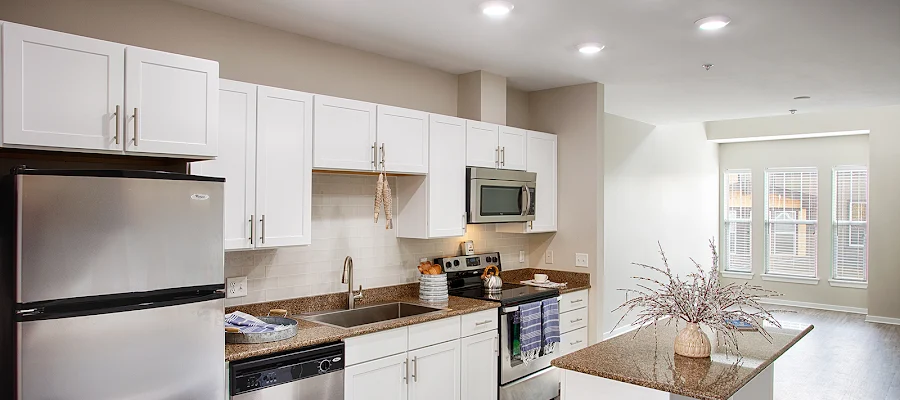 Lake Vista Apartments