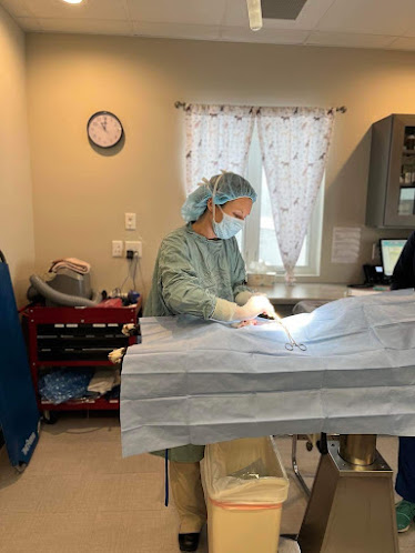 Lake Wissota Animal Hospital