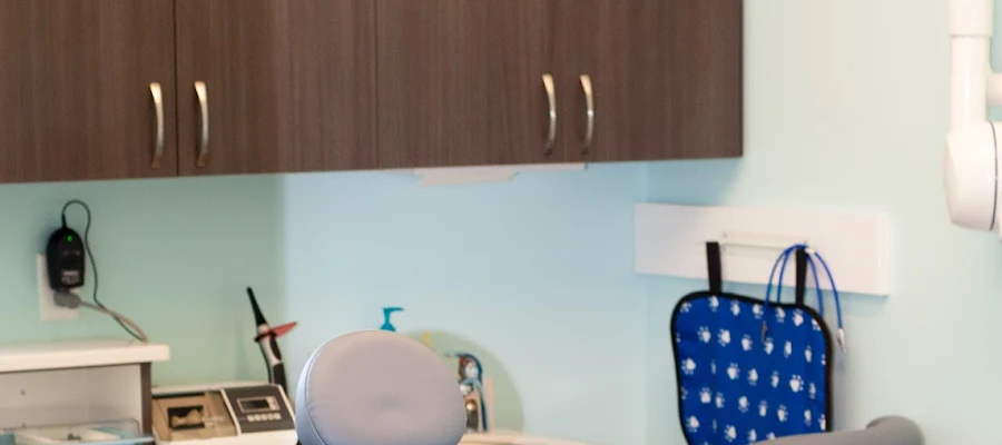 Lake Wylie Pediatric Dentistry