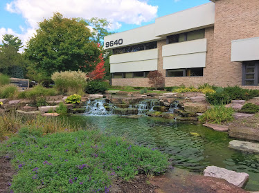 Lakes Foot And Ankle Associates