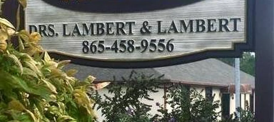 Lambert David w DDS