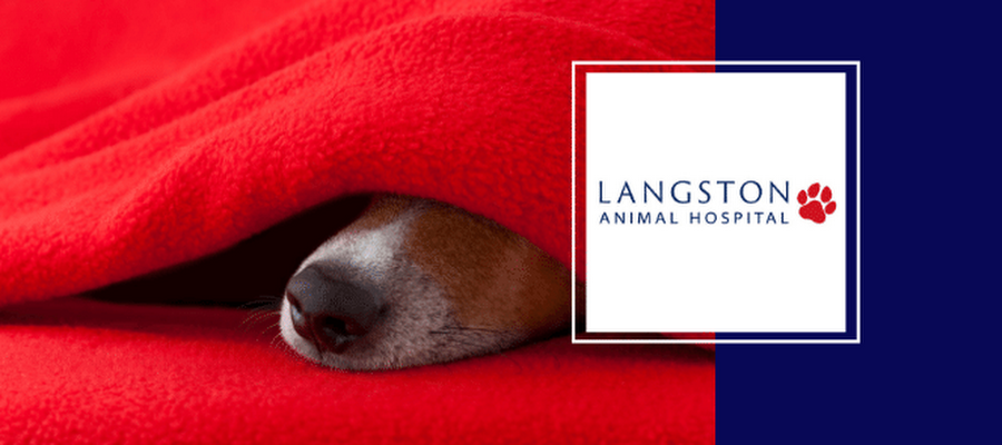 Langston Animal Hospital