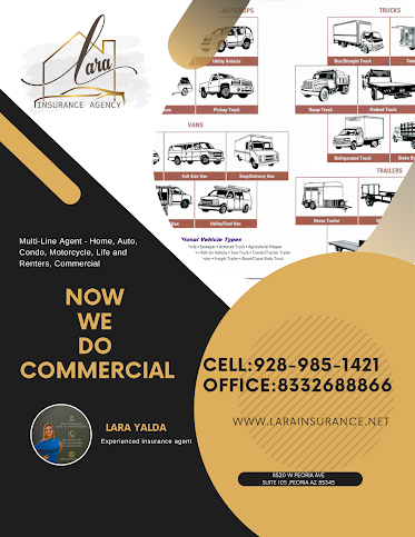 Lara Insurance Inc