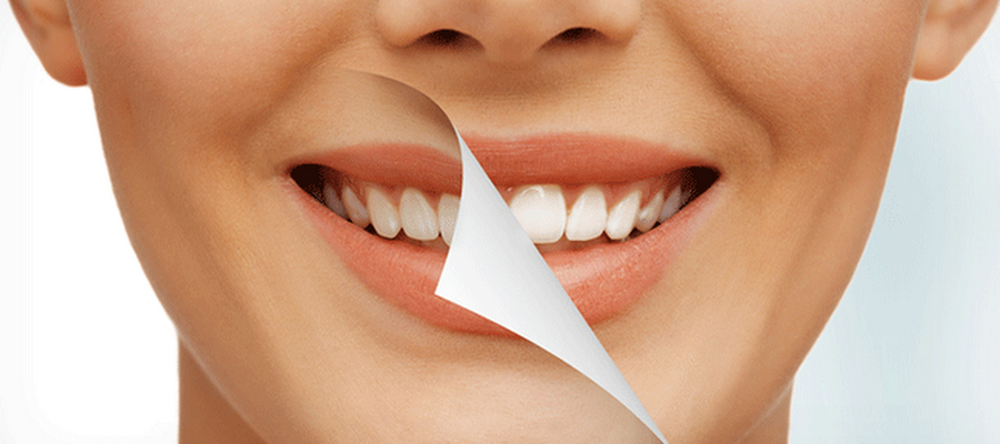 Laurel Pines Dental Group