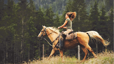 Leavitt Recreation & Hospitality Insurance