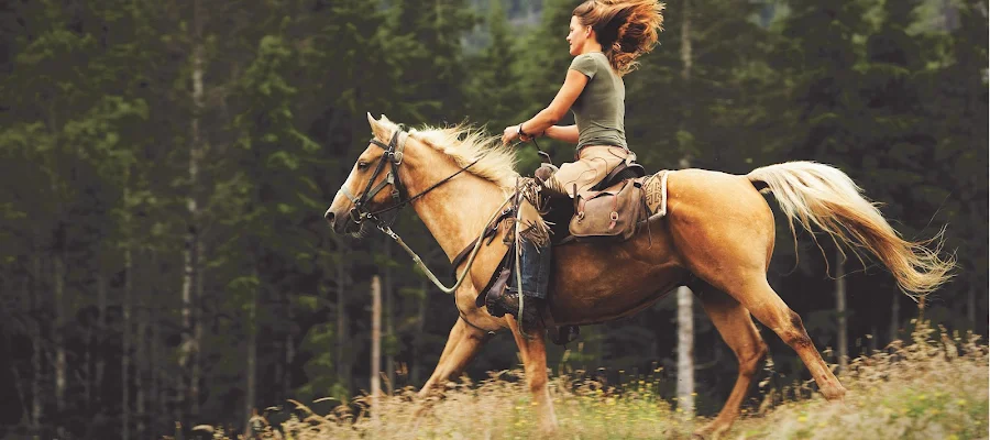 Leavitt Recreation & Hospitality Insurance