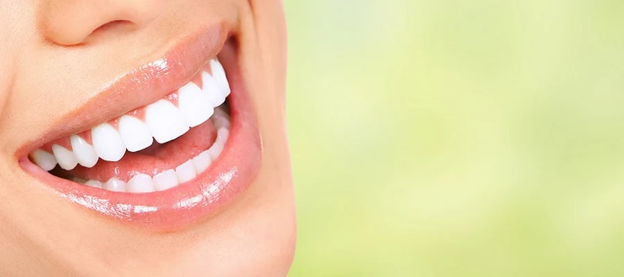 Lee Plaza Dental