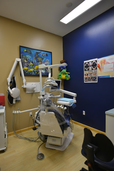 Leila Zamiri DDS - Cherry Office