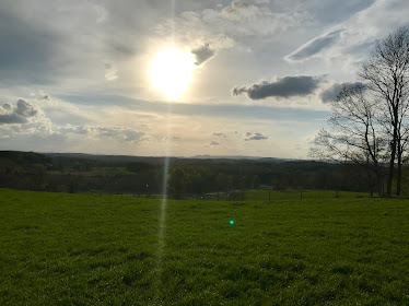 Levi Cox Realtor United Country Blue Ridge Land & Auction Real Estate