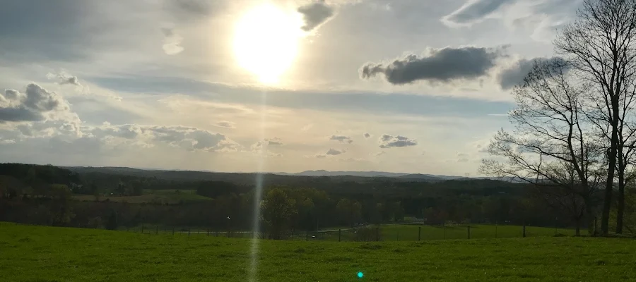 Levi Cox Realtor United Country Blue Ridge Land & Auction Real Estate
