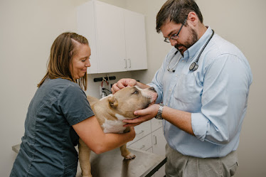 Levy Veterinary Hospital