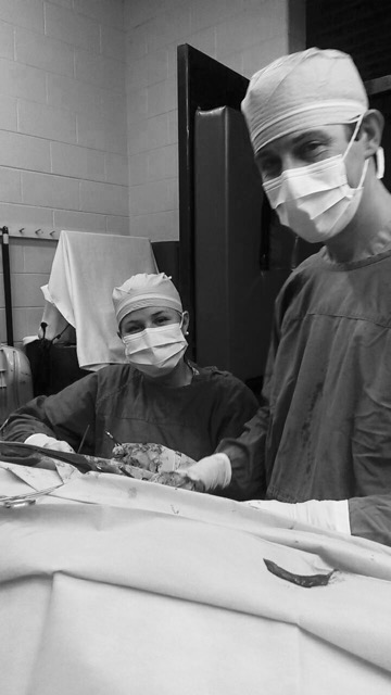 Lewis Veterinary Practice