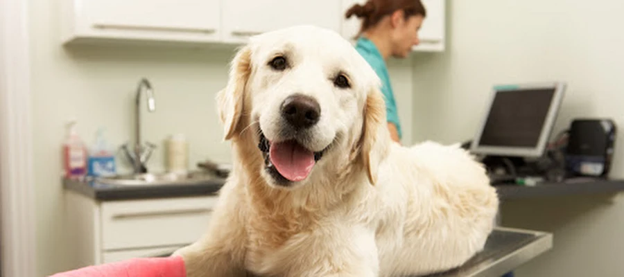 Lewisburg Veterinary Hospital