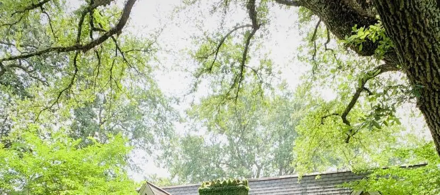 Linda Edwards, John Rea Realty, Monroe Louisiana