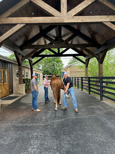 Logan Bethel Veterinary Services