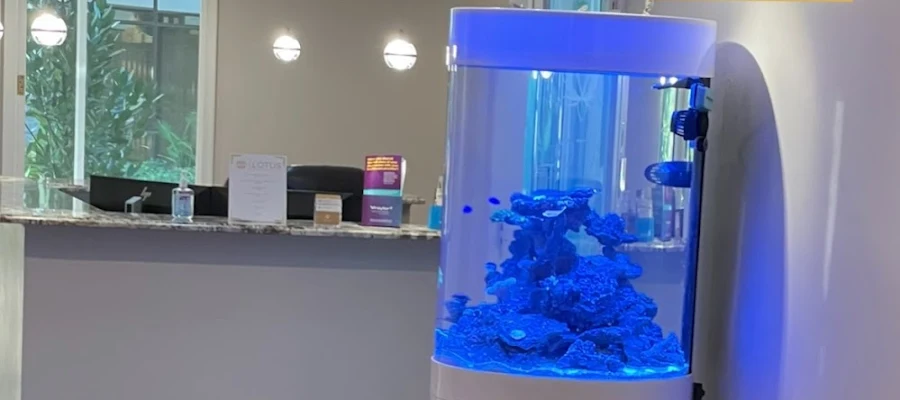 Lotus Psychiatry and Wellness - Boca Raton