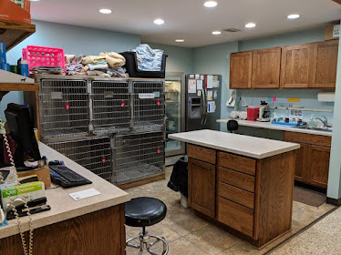 Marshall Animal Clinic