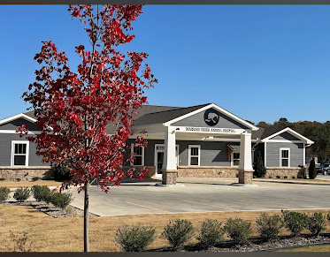 Massard Creek Animal Hospital