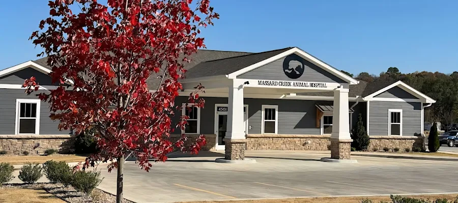 Massard Creek Animal Hospital