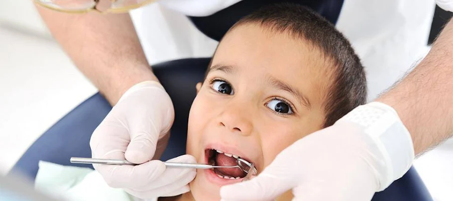 Matthew Wittrig, D.D.S.