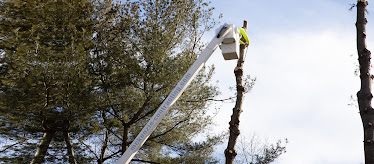 McKenzie Contracting