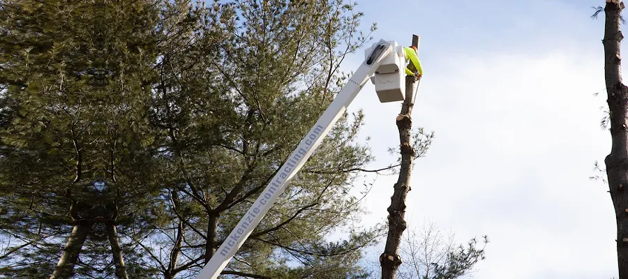 McKenzie Contracting