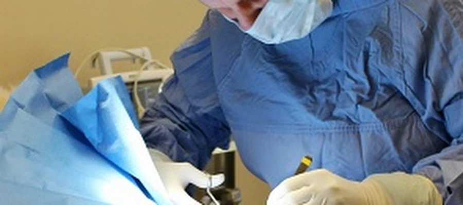 Memorial Animal Hospital