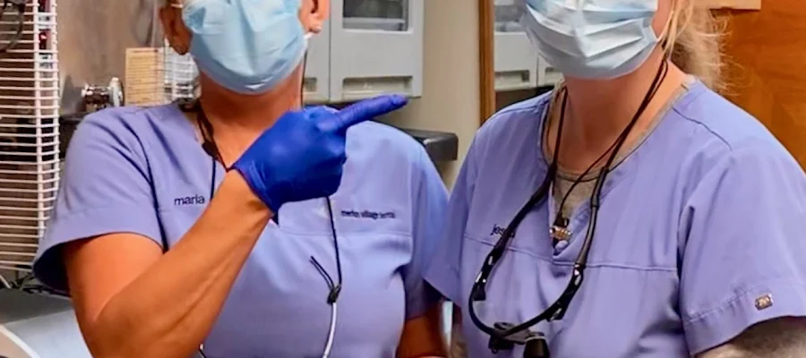 Merion Village Dental