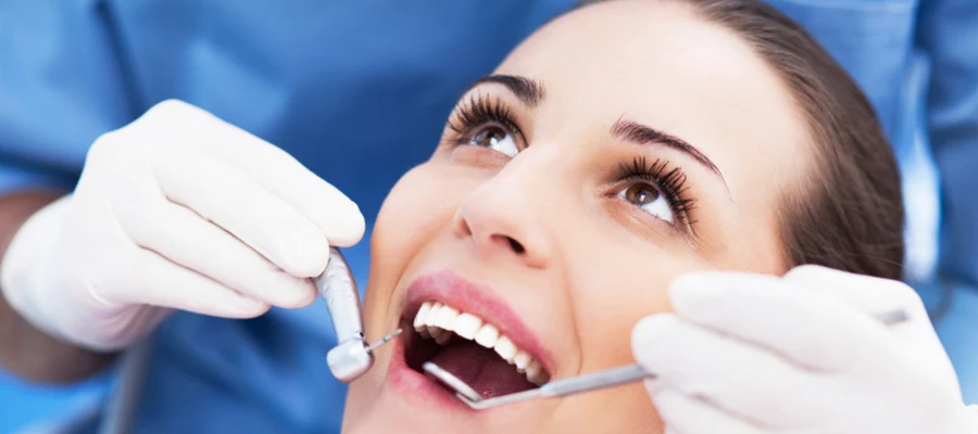 Michael H. Halasz, DDS