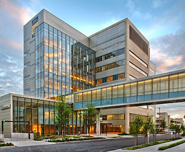 Michael K. McAdam, MD