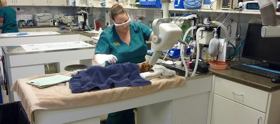 Middletown Animal Hospital