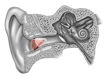 Midland Hearing Associates, A Division of Hear Again America