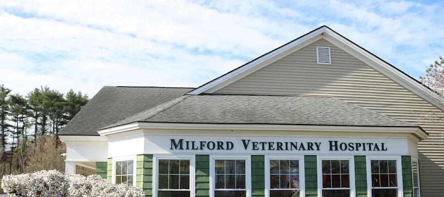 Milford Veterinary Hospital