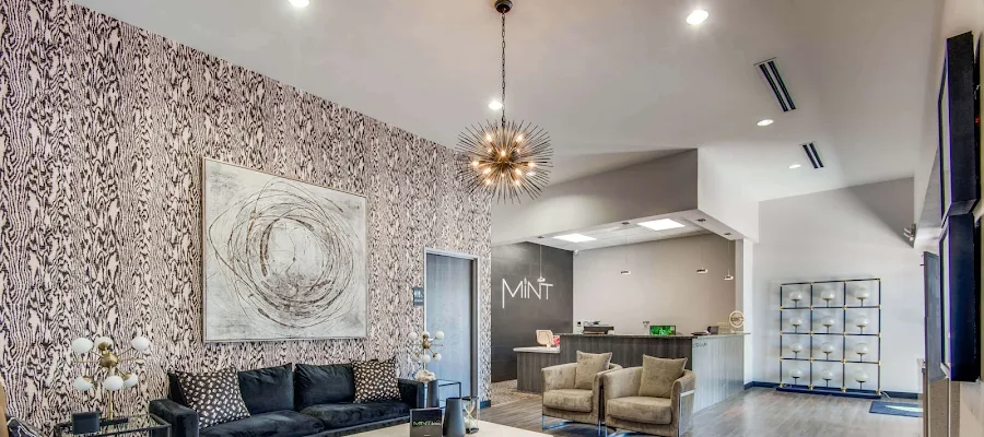 MINT dentistry | McKinney