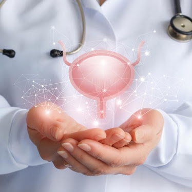 Mohammed Haseebuddin, MD